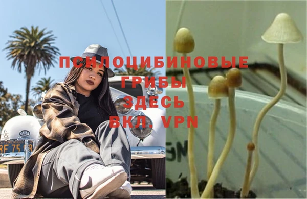 каннабис Краснотурьинск