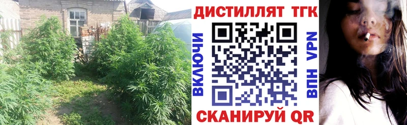 ТГК концентрат цена Новосибирск